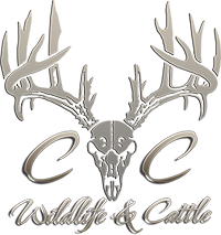 CC Wildlife & Cattle